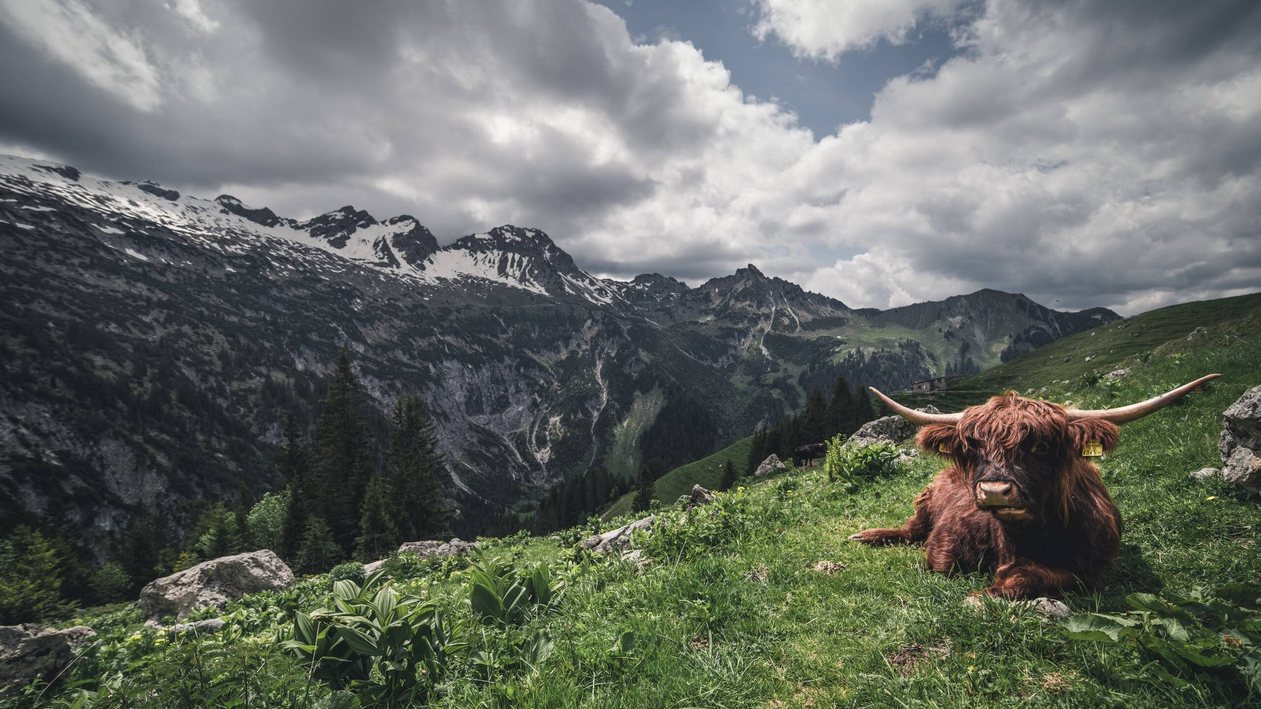 IM体育在线注册-加勒比风暴与东瀛武士的较量，孙兴慜关键节点连斩改写战局